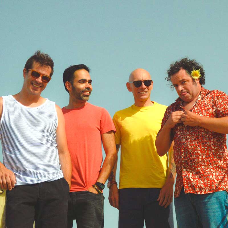 The Protons